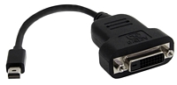 StarTech MiniDisplayPort 1.2 (uros) -> DVI-D (naaras) adapteri, WUXGA