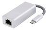 USB TypeC / RJ45 adapteri, hopea